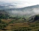 Străinii pot cumpăra fără restricţii terenuri