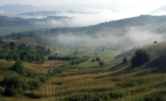 Străinii pot cumpăra fără restricţii terenuri